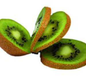Kiwi Atlántico prevé ampliar sus mercados exteriores