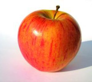 Girona Fruits mejora la calidad y la conservación de la manzana
