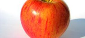 Girona Fruits mejora la calidad y la conservación de la manzana