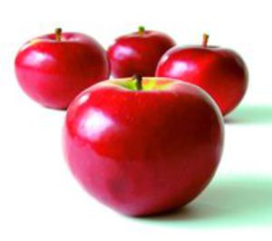 Castang comercializará un 60% menos de manzana en España