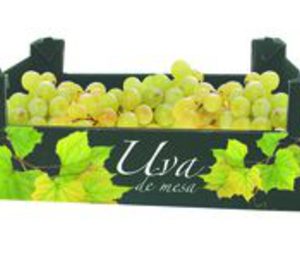 La planta canaria de Smurfit Kappa recibe un premio Asinca 2012