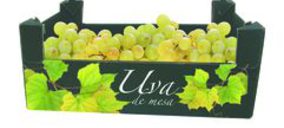 La planta canaria de Smurfit Kappa recibe un premio Asinca 2012