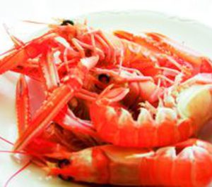 Crece el consumo de marisco congelado en Madrid