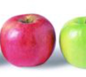 Manzana: Promoción y calidad