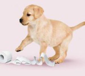 El perrito de Scottex celebra su cumpleaños en la cabalgata de Reyes