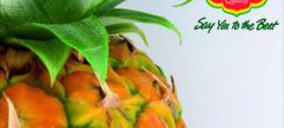 Del Monte venderá directamente sus productos en España y Portugal