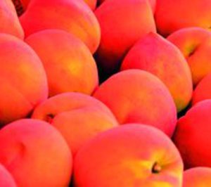 Baby Foods investiga con nuevas frutas