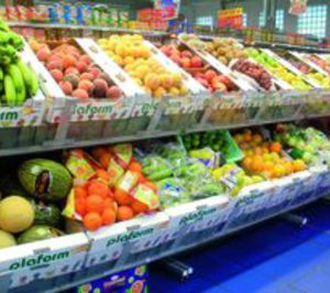 Plaform dará a conocer sus embalajes estandarizados en Fruit Logistica 2012