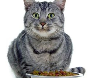 Petfood: El sector resiste bien la crisis