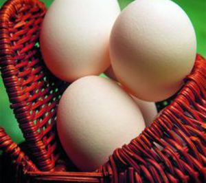 Hibramer estrenará propietario en dos semanas