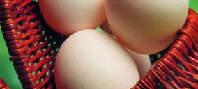 Hibramer estrenará propietario en dos semanas