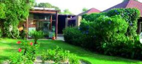 Barceló mejoró ocupación y precios en 2011