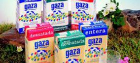 Gaza producirá la leche Tierra de Sabor