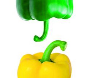 Biogolden Solutions presenta un envase protector para alimentos crujientes