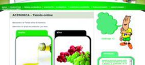 Acenorca apuesta por el comercio electrónico para acceder a un nuevo perfil de cliente