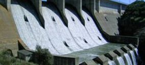 Ofiteco mira al Este