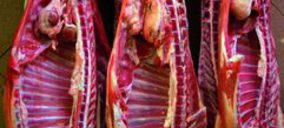 Los nuevos dueños del matadero de Pelbor preparan su reapertura