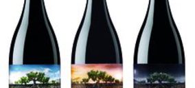 Vintae presenta su tercer vino de la colección Garnachas de España