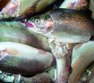 La administración concursal estudia dos ofertas de compra para el grupo Baró