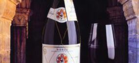 El Bierzo tendrá un complejo de enoturismo