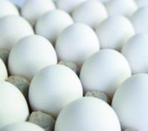 Eurovo, más acuerdos de producción en España