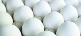 Eurovo, más acuerdos de producción en España