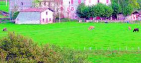 Bildu rechaza en Navarra un proyecto hotelero