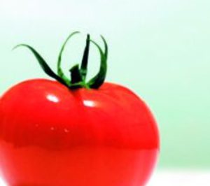 Alsat actualiza sus líneas de producción pensando en foodservice