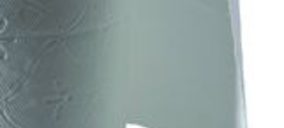 Albarri cierra el ejercicio 2011 con menos ventas