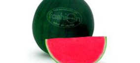 Agrícola Navarro de Haro repite crecimiento de doble dígito