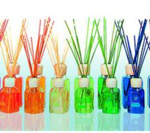 Desarrollos Empresariales Igel maneja buenas previsiones para 2012