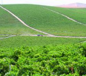 Palacio de Arganza solicita la liquidación