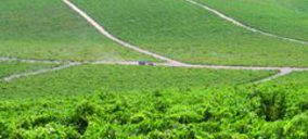 Palacio de Arganza solicita la liquidación