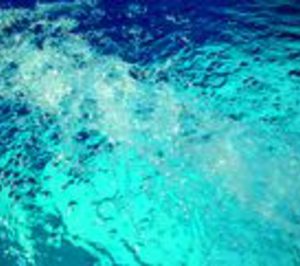 Bayrol Ibérica prevé crecer sensiblemente este ejercicio