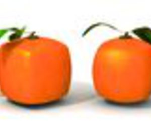 Familias y adultos protagonizan la innovación en foodservice