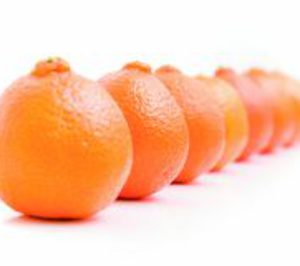 Merco-Cámara negocia para evitar el concurso