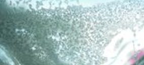 Productos Caselli cierra 2011 con alza en ventas