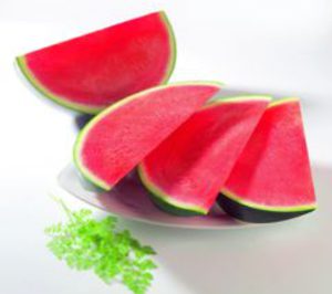 El sector de melón y sandía pone su confianza en la próxima campaña