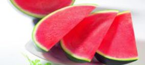 El sector de melón y sandía pone su confianza en la próxima campaña
