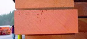 Interbon-Unopan recibe una nueva oferta de adquisición