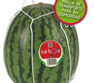 Fashion arranca la campaña con la nueva sandía Ice Box