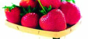 Onubafruit crece de la mano de las berries