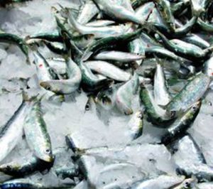 Batasel inaugurará una nueva planta transformadora de pescado