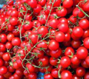 Agroatlas Europa presupuesta más inversiones para el cultivo de cherry