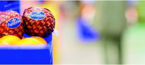 Las instalaciones de Fontestad sufren un grave incendio