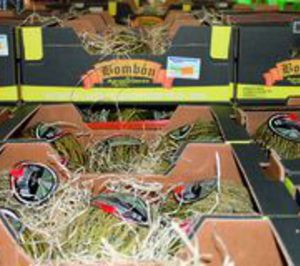 Agroponiente pone en marcha acciones de promoción y fidelización