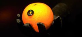 Fontestad arrienda naves mientras evalúa su reconstrucción