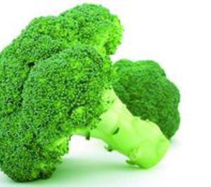 Agrotomy ejecutará su ampliación este verano