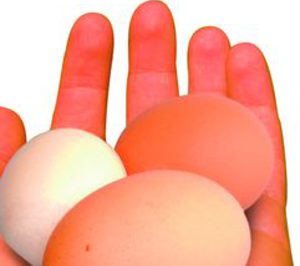 Huevos: En manos de la nueva directiva 