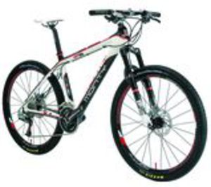 Bicicletas Monty reduce sus ingresos en 2011